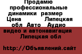 Продамю, профессиональные  динамики, размер16 › Цена ­ 4 500 - Липецкая обл. Авто » Аудио, видео и автонавигация   . Липецкая обл.